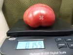 Eastern Kentucky Pink Tomato Large Tomatoes