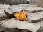 Elk Creek Tomato