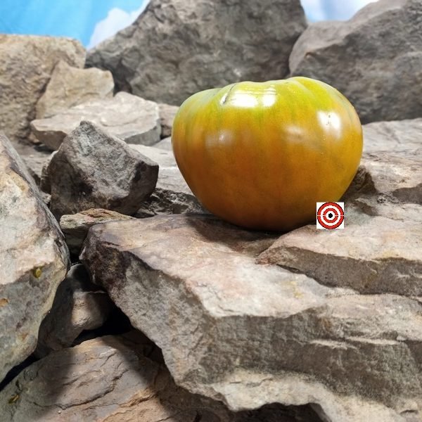 Elsers Farm Brown Derby Tomato