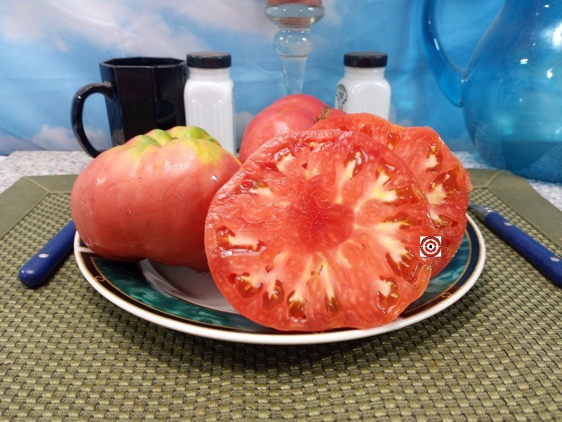 Epsteins PL Tomato Sandwich Tomatoes Epsteins PL Tomato Sandwich Tomatoes
