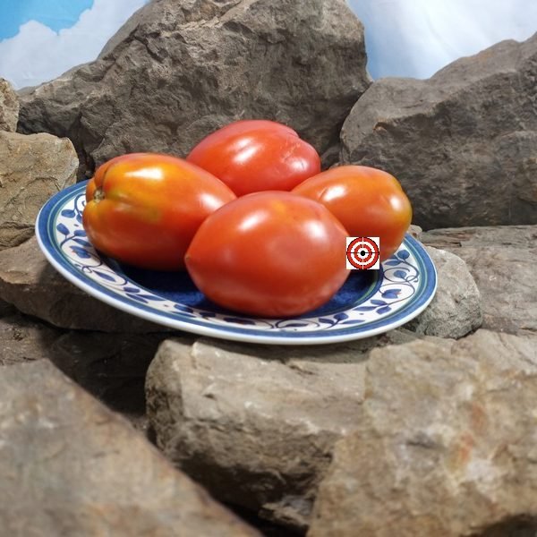 Erdie Family Oxheart Tomato