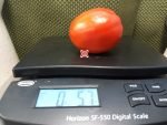 Erdie Family Oxheart Tomato Heirloom Tomatoes