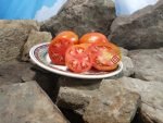 Erdie Family Oxheart Tomato Seeds