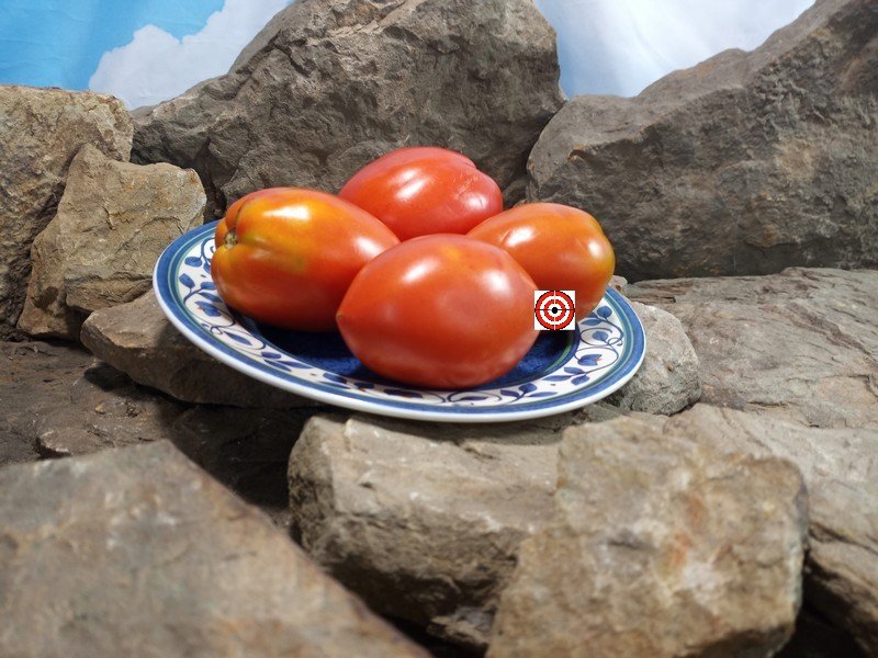 Erdie Family Oxheart Tomato