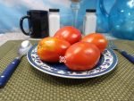 Erdie Family Oxheart Tomatoes