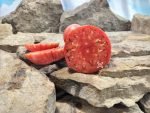 Evan Shewmaker Tomato Red Sandwich Tomatoes