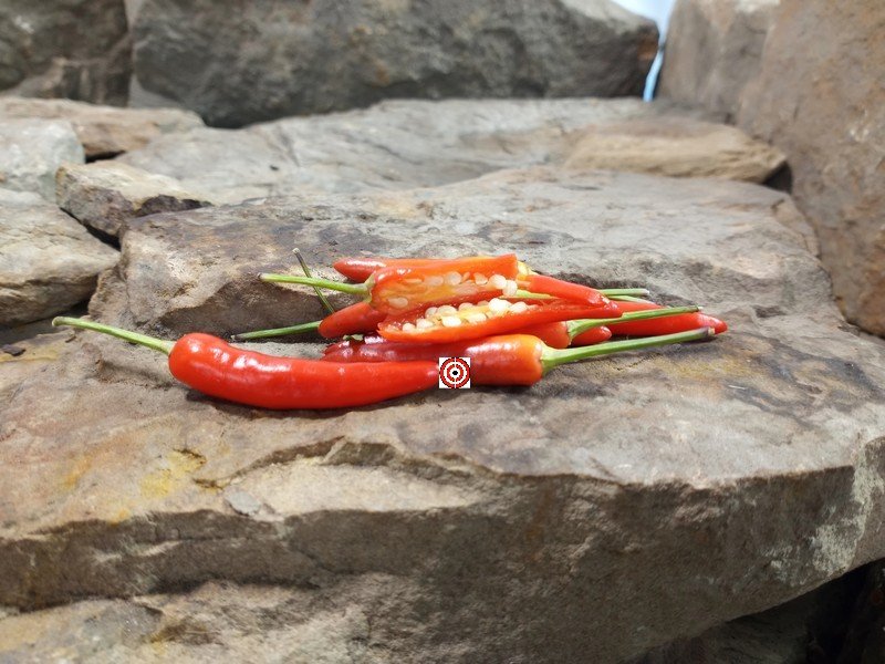 Facing Heaven Pepper