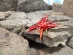Goats Weed Pepper Seeds