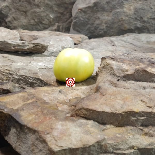 Gofts Cream Tomato