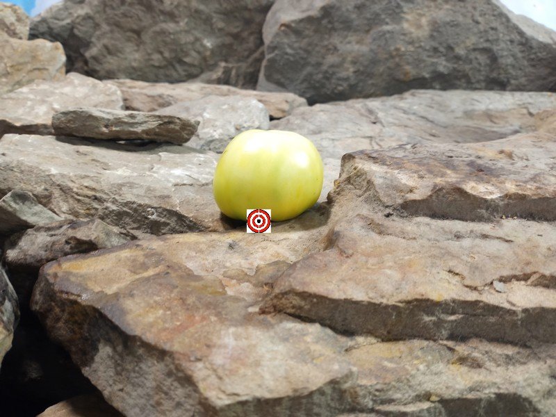 Gofts Cream Tomato