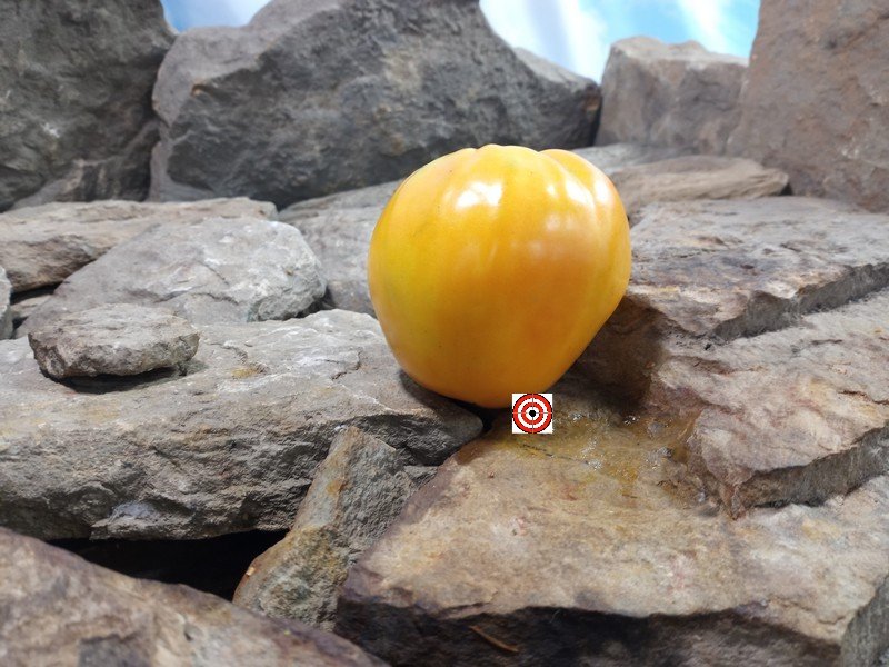 Gold Heart Tomato