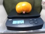 Grand Belgium Tomato Large Tomatoes