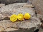 Green Gage Tomato Seeds