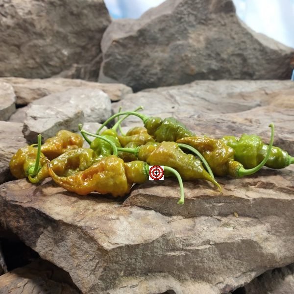 Green Trinidad Scorpion Pepper