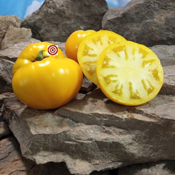 Hensley Settlement Tomato