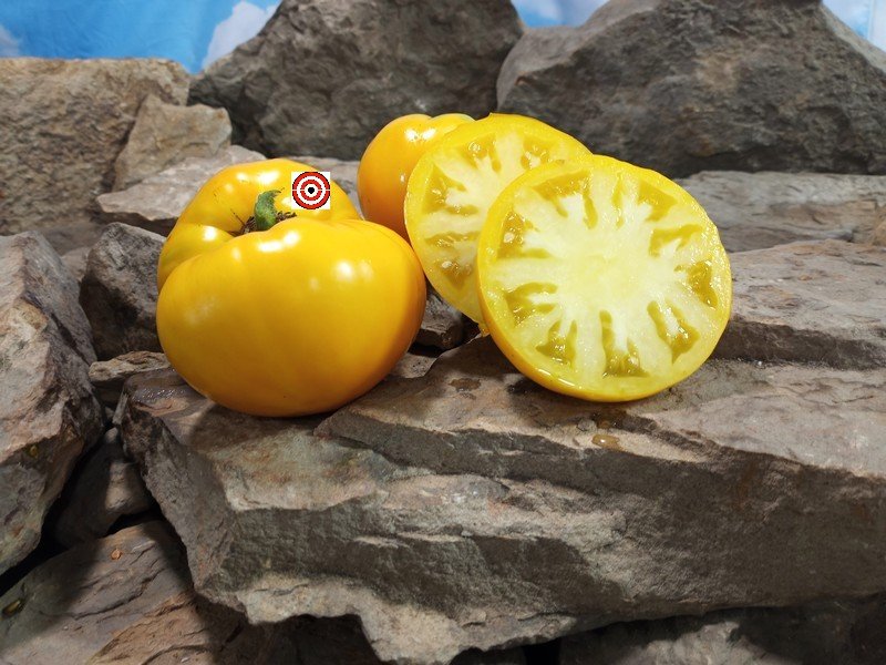 Hensley Settlement Tomato
