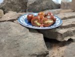 Italian Black Plum Tomato