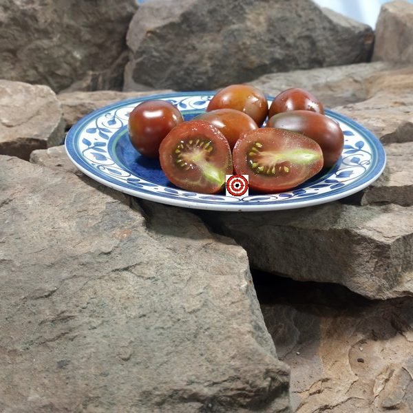 Italian Black Plum Tomato