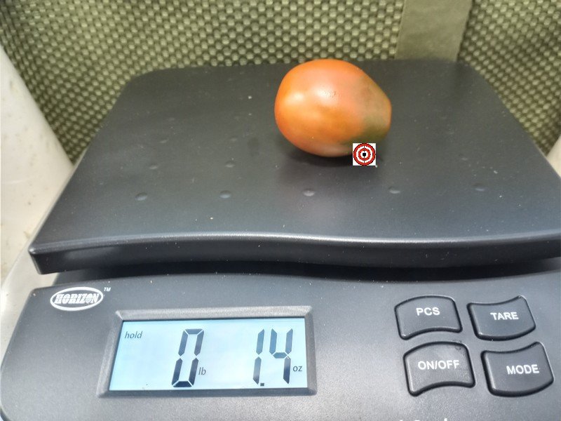 Italian Black Plum Tomato Elongated Tomatoes Italian Black Plum Tomato Elongated Tomatoes