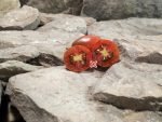 Italian Black Plum Tomato Long Keeper Tomatoes