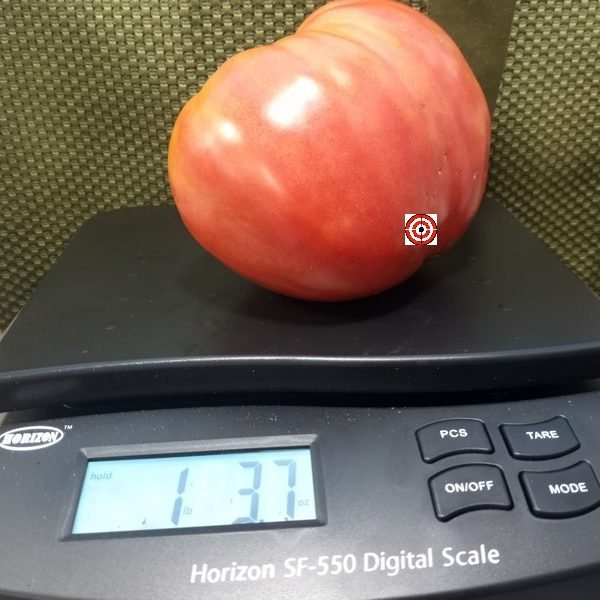 Japanese Oxheart Tomato