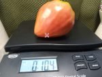 Japanese Oxheart Tomato Pink Tomatoes