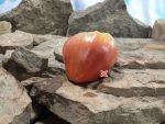 Japanese Oxheart Tomato Seeds