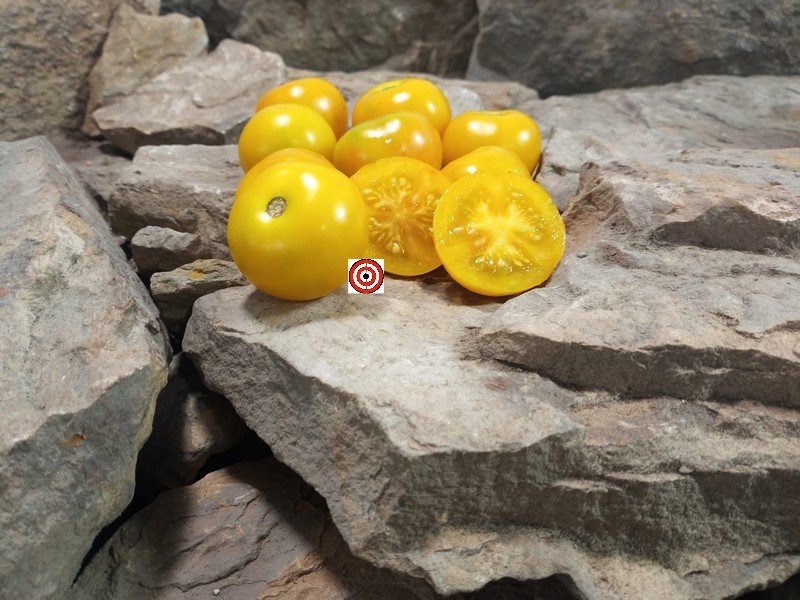 Jerusalem Giant Cherry Tomato Productive Tomatoes Jerusalem Giant Cherry Tomato Productive Tomatoes