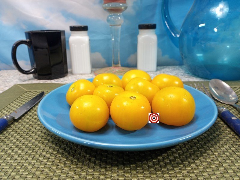 Jerusalem Giant Cherry Tomato Seeds Jerusalem Giant Cherry Tomato Seeds