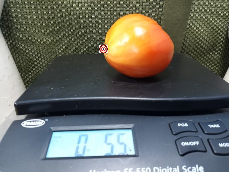Jerusalem Tomato