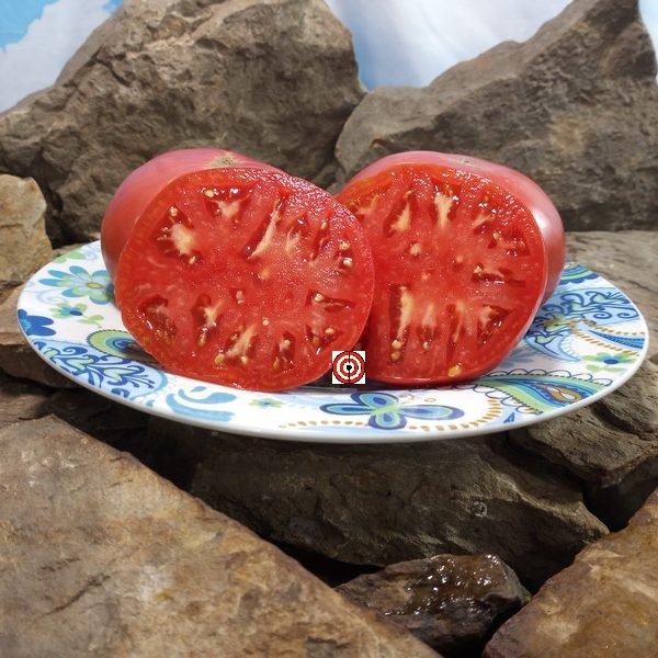 John Quincy Adams Tomato.