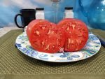John Quincy Adams Tomato Sandwich Tomatoes.