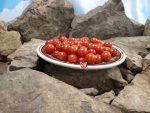 Joshs Garnet Tomato