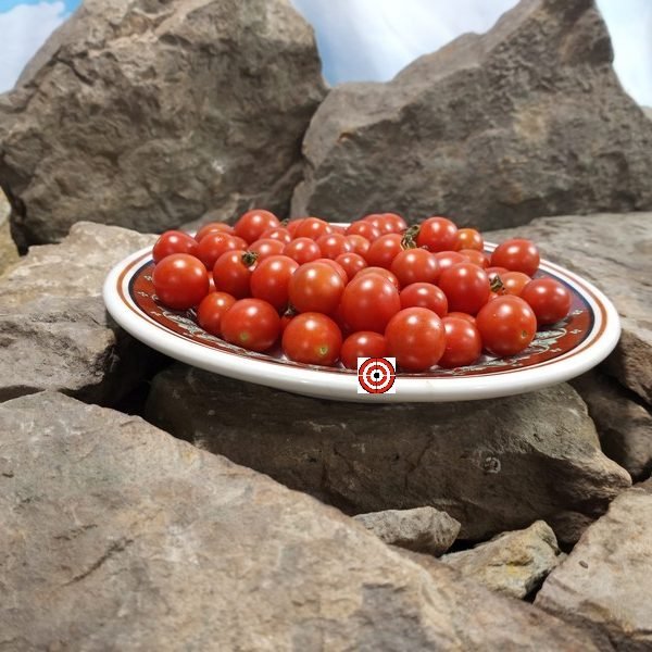 Joshs Garnet Tomato