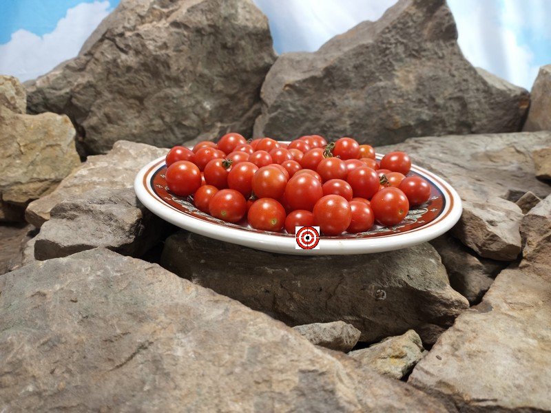 Joshs Garnet Tomato