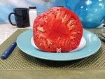 Kentucky Plate PL Tomato Heirloom Tomatoes