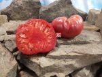 Kentucky Plate PL Tomato Sandwich Tomatoes