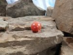 Krochmal Red Tomato Cherry Tomatoes