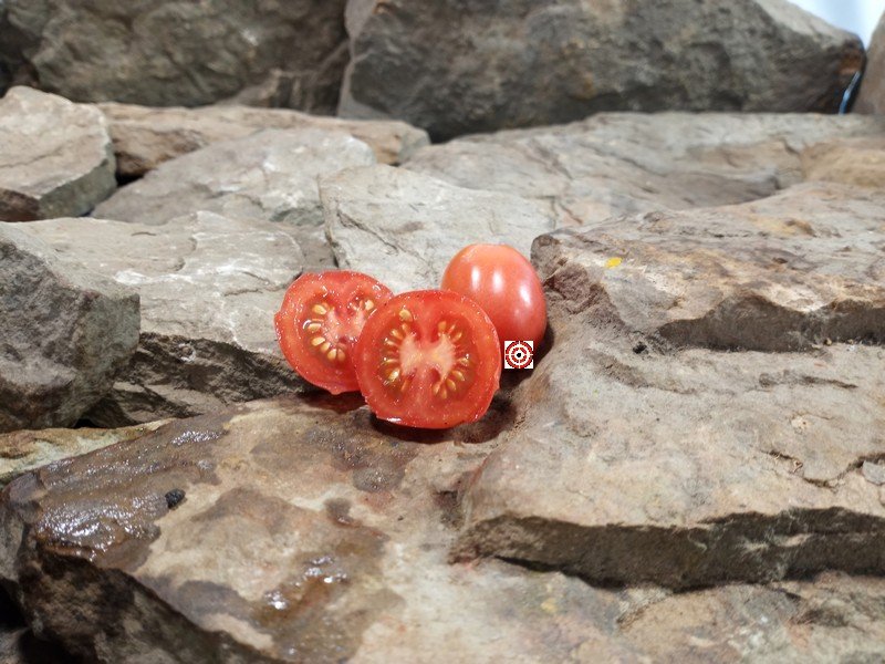 Krochmal Red Tomato