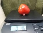 Kuklas Portuguese Heart Tomato Sandwich Tomatoes
