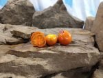 Lamont Sanford Orange 2.0 Cherry Tomato Seeds