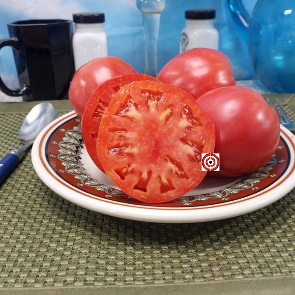 Lariskins Serdste Tomato