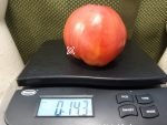 Lariskins Serdste Tomato Large Tomatoes