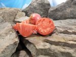 Lariskins Serdste Tomato Oxheart Tomatoes
