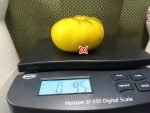 Laurens F5 Tomato Slicing Tomatoes