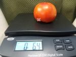 Livingstons Paragon Tomato Beefsteak Tomatoes