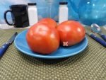 Livingstons Paragon Tomato Heirloom Tomatoes