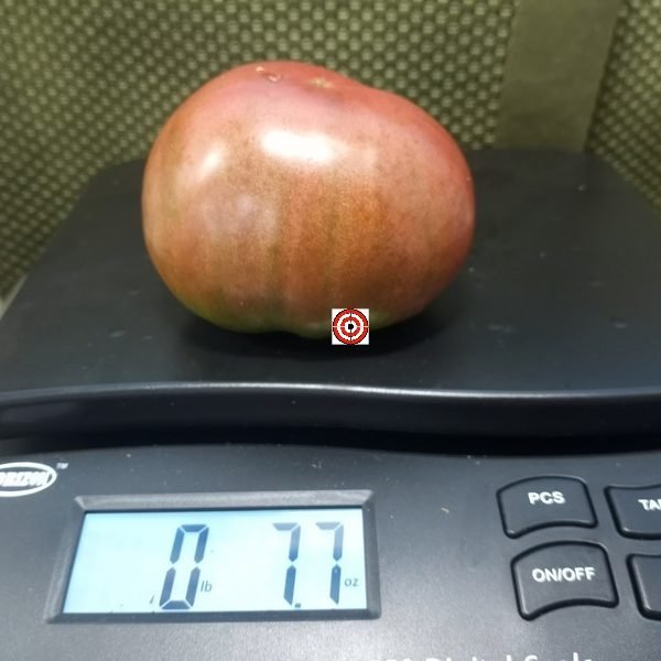 Loki Tomato.