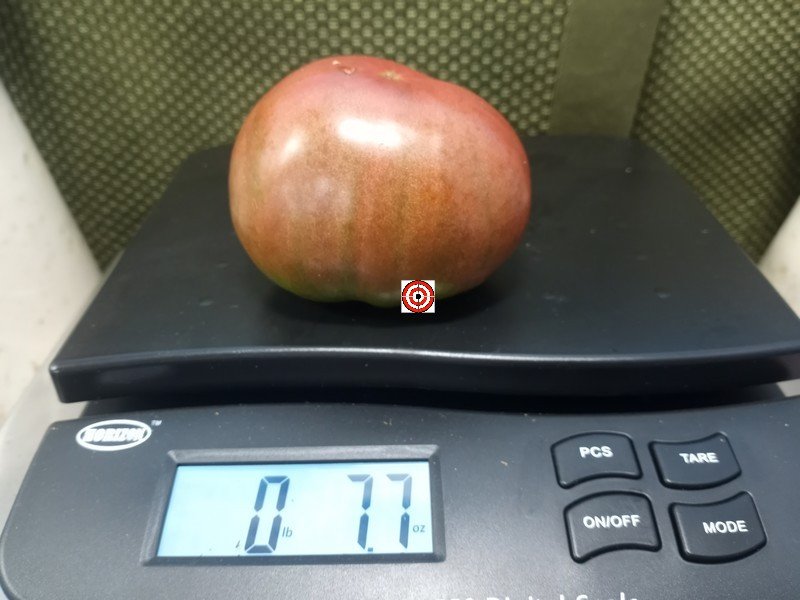 Loki Tomato.