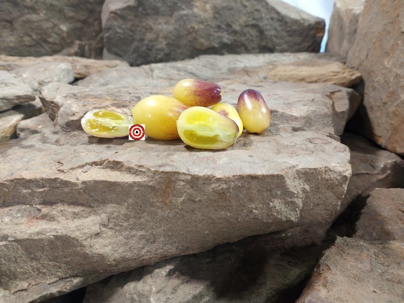 Marchenengle Tomato